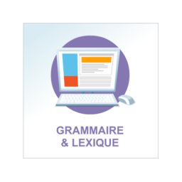 Double Test 1 module de grammaire et lexique français